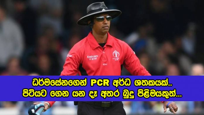 Kumara Dharmasena PCR Tests - ධර්මසේනගෙන් PCR අර්ධ ශතකයක්.. පිටියට ගෙන යන දෑ අතර බුදු පිළිමයකුත්...