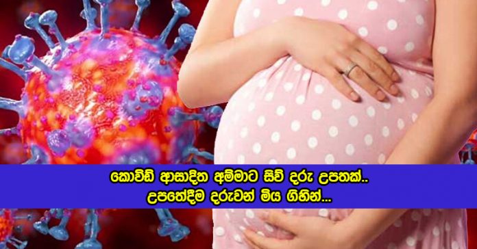 Covid Positive Pregnant Women in Ampara Hospital - කොවිඩ් ආසාදිත අම්මාට සිව් දරු උපතක්.. උපතේදීම දරුවන් මිය ගිහින්...