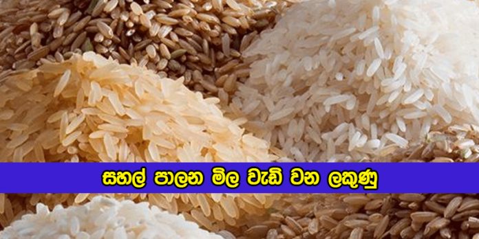 Rice Maximum Price Increase - සහල් පාලන මිල වැඩි වන ලකුණු