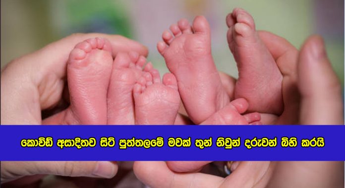 Three Twins Birth - කොවිඩ් අසාදිතව සිටි පුත්තලමේ මවක් තුන් නිවුන් දරුවන් බිහි කරයි