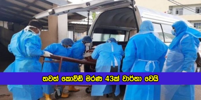 Covid Deaths in Sri lanka Yesterday - තවත් කොවිඩ් මරණ 43ක් වාර්තා වෙයි