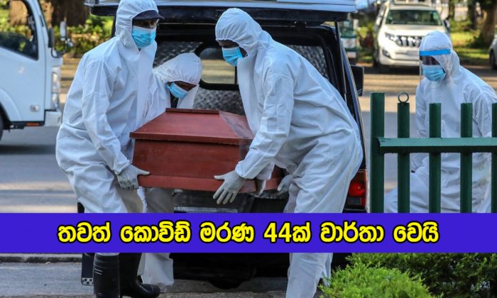 Covid Deaths in Sri lanka Yesterday - තවත් කොවිඩ් මරණ 44ක් වාර්තා වෙයි