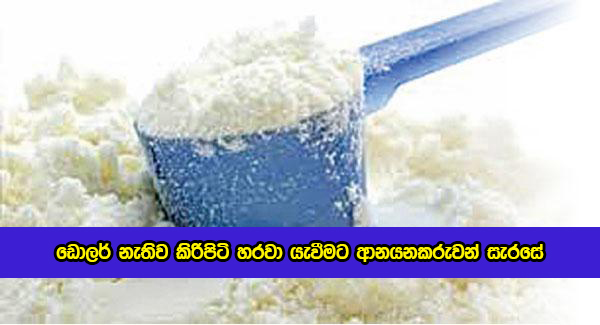 Milk Powder Redy to Re Export - ඩොලර් නැතිව කිරිපිටි හරවා යැවීමට ආනයනකරුවන් සැරසේ