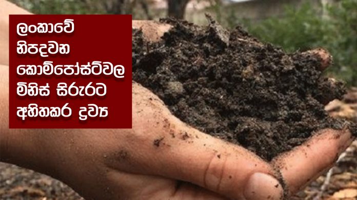 In compost - ලංකාවේ නිපදවන කොම්පෝස්ට්වල මිනිස් සිරුරට අහිතකර ද්‍රව්‍ය