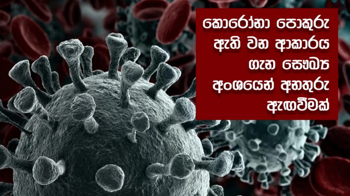 A warning from the health sector - කොරෝනා පොකුරු ඇති වන ආකාරය ගැන සෞඛ්‍ය අංශයෙන් අනතුරු ඇඟවීමක්