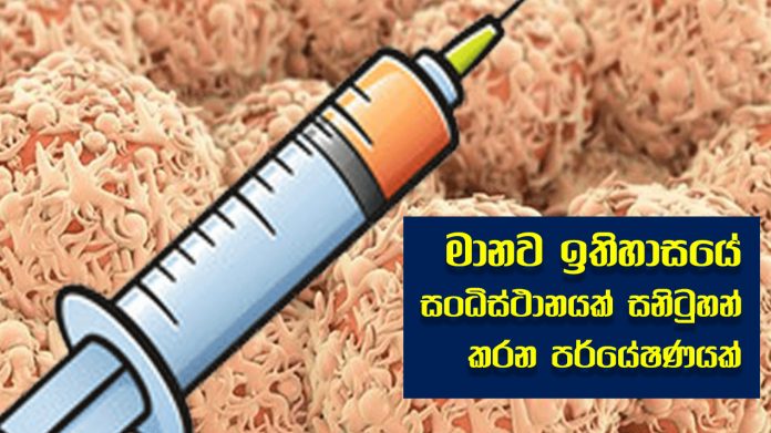 Cervical cancer - මානව ඉතිහාසයේ සංධිස්ථානයක් සනිටුහන් කරන පර්යේෂණයක්