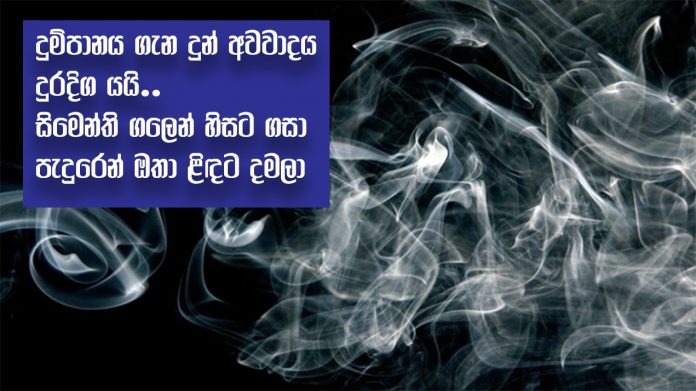 Management Smoking - දුම්පානය ගැන දුන් අවවාදය දුරදිග යයි.. සිමෙන්ති ගලෙන් හිසට ගසා පැදුරෙන් ඔතා ළිඳට දමලා...