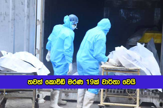 Covid Deaths in Sri Lanka Yesterday - තවත් කොවිඩ් මරණ 19ක් වාර්තා වෙයි