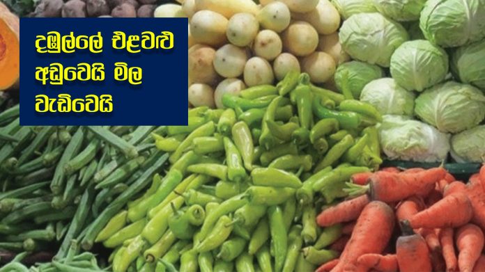 Vegetables Price - දඹුල්ලේ එළවළු අඩුවෙයි මිල වැඩිවෙයි