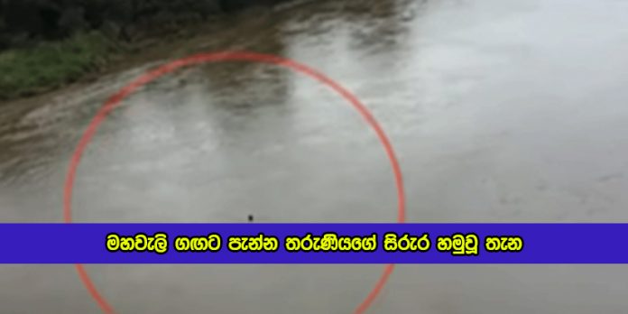 Death Body of Young Girl in Mahaweli Ganga - මහවැලි ගඟට පැන්න තරුණියගේ සිරුර හමුවූ තැන