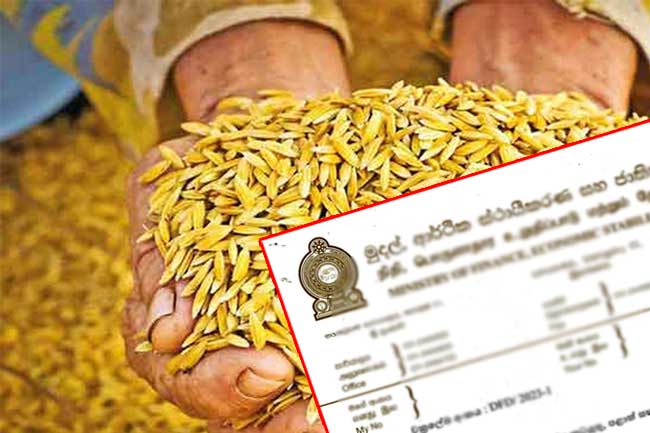 Circular relating to purchase of Paddy - වී මිලදී ගැනීමට අදාළ චක්‍රලේඛය නිකුත් කෙරේ