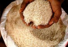 පවුල් ලක්ෂ 20කට සහල් Rice for Families -