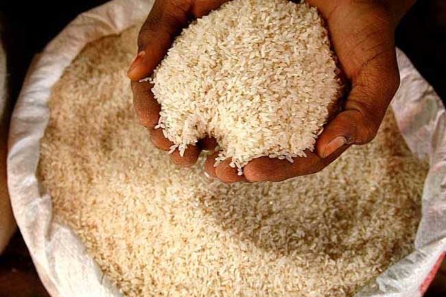 Rice for Families -