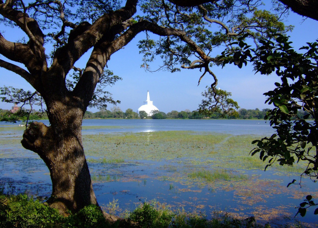 අනුරාධපුර පුජා නගරයට