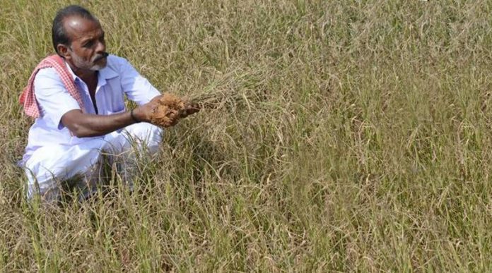 වගා බිම් අක්කර 58,766කට හානි වගා බිම් අක්කර 58,766කට හානි