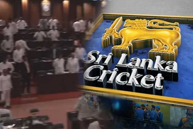 ක්රිකට් බෝඩ් ක්රිකට් බෝඩ්