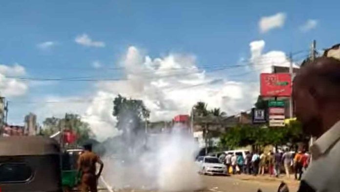 මාලිමාවට බිත්තර මාලිමාවට බිත්තර