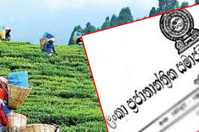 ගැසට් නිවේදනය අවලංගු