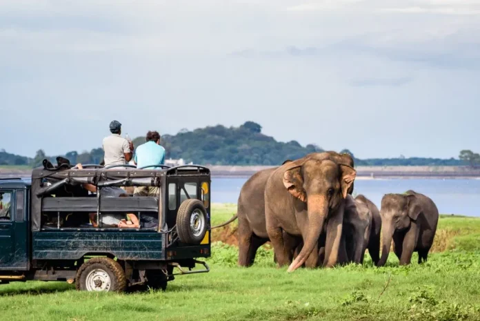 2025 ජනවාරි මාසයේ