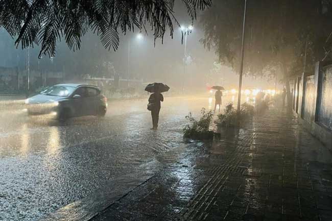 ගිගුරුම් සහිත වැසි